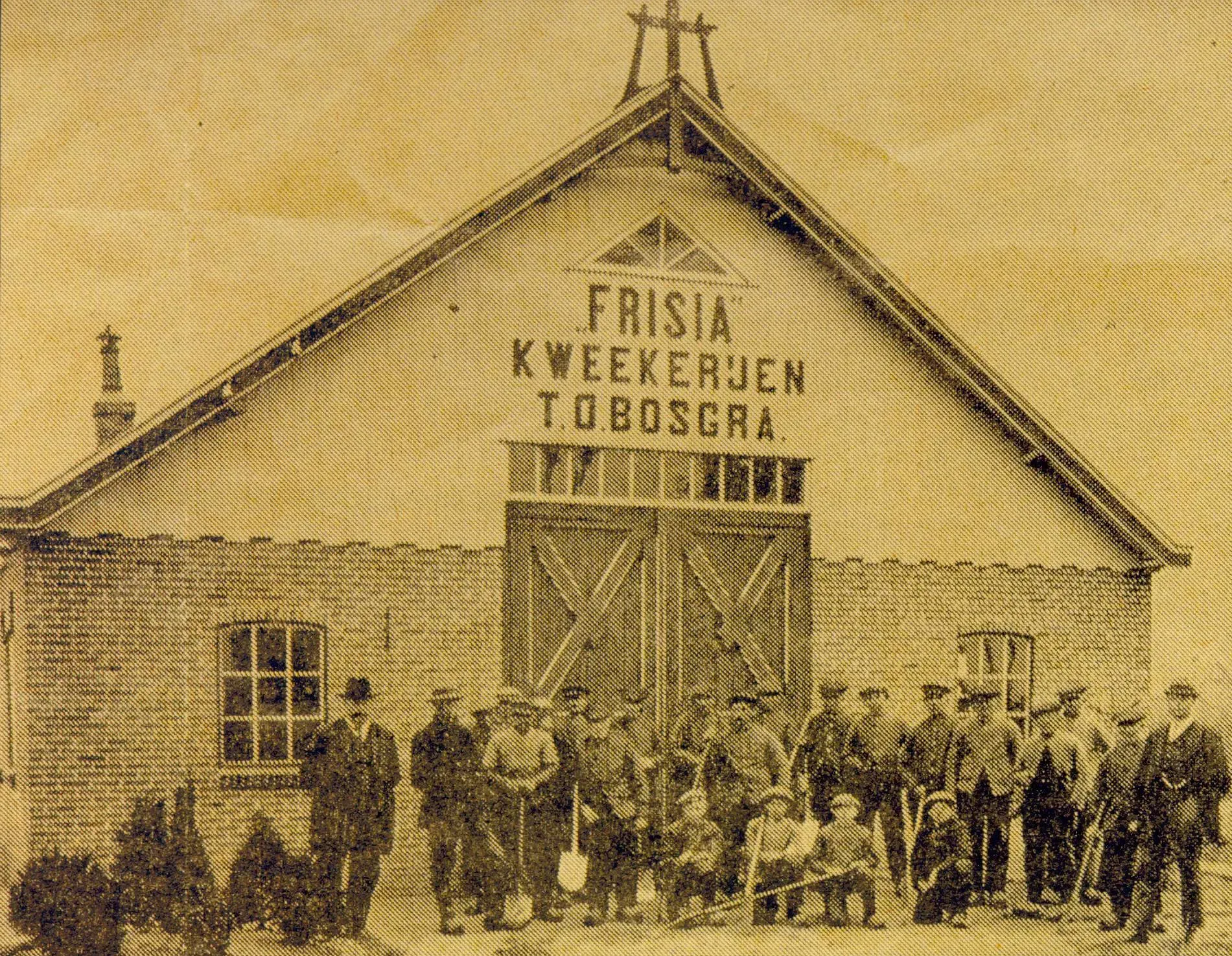Geschiedenis Frisia Bergum