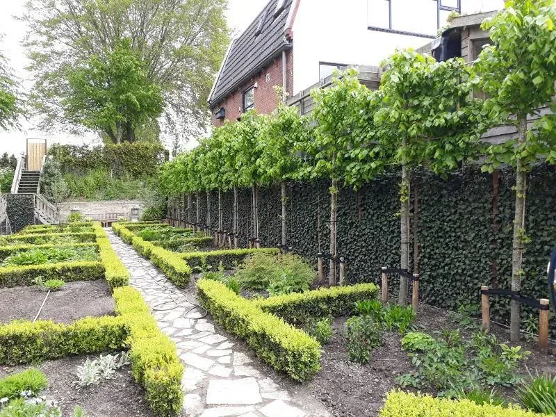 Verfraaiing tuin eeuwenoud pand binnenstad Franeker